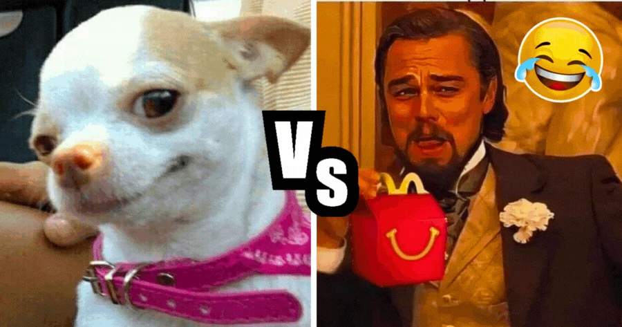 What Meme Best Describes Your Friend Group?