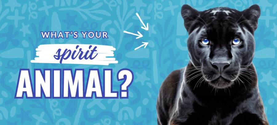 Personality Test: What’s Your True Animal Spirit?